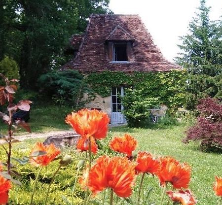 Petite Maison En Perigord Noir Plazac Bagian luar foto