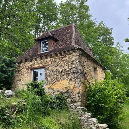 Petite Maison En Perigord Noir Plazac Bagian luar foto