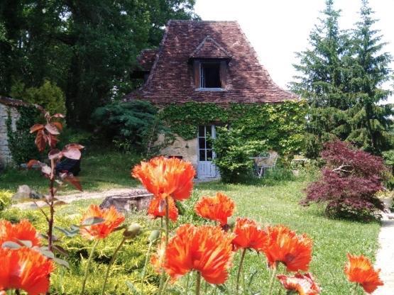 Petite Maison En Perigord Noir Plazac Bagian luar foto