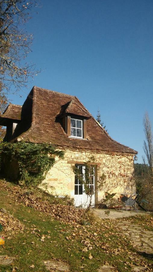 Petite Maison En Perigord Noir Plazac Bagian luar foto